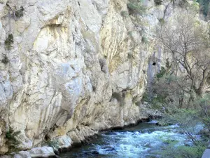 Gargantas del Pierre-Lys - Paredes de roca del río Aude y árboles a lo largo del agua