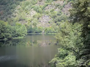 Gargantas del Truyère - Truyère río bordeado de árboles