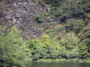 Gargantas del Truyère - Rockface con vistas a la arbolada del río Truyère