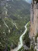 Gargantas del Verdon - Gran Cañón del Verdon: acantilado (pared de roca) por encima del río Verdon, en el Parque Natural Regional de Verdon