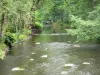 Gargantas del Vézère - Vézère alineado con los árboles