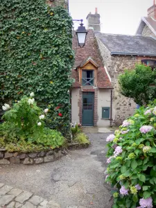 Gargilesse-Dampierre - Las hortensias en flor, la calle y casas de la aldea