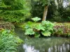 Garten Pré Catelan - Fluss, Pflanzen und Bäume am Wasser Ufer, in Illiers-Combray