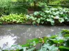 Garten Pré Catelan - Fluss gesäumt von Pflanzen, in Illiers-Combray