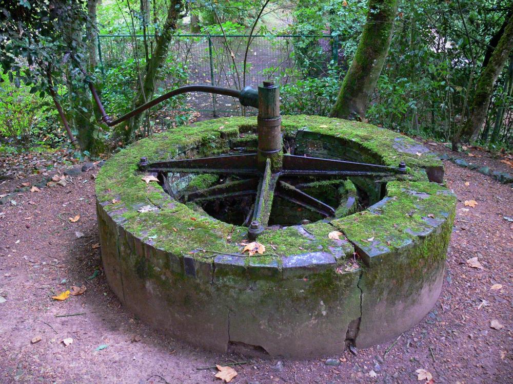 Bilder - Garten Pré Catelan - 8 Qualitätsbilder in hoher Auflösung