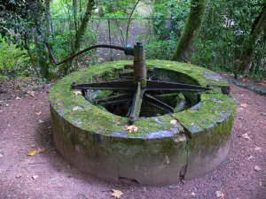 Garten Pré Catelan - Brunnen, in Illiers-Combray