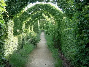 Gärten des Priorats Notre-Dame d'Orsan - Enge Allee des mittelalterlichen Gartens