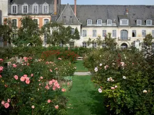 Gärten Valloires - Rosengarten (Rosen) Bäume und Zisterzienserabtei Valloires