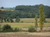 Gascogne Landschaften - Ackerland und Bäume