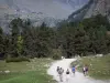 Gavarnie cirque - Hikers on the path leading to the foot of the cirque, trees and mountains in the background; in the Pyrenees National Park