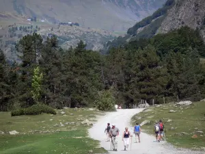 Gavarnie cirque - Hikers on the path leading to the foot of the cirque, trees and mountains in the background; in the Pyrenees National Park