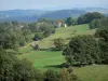 Gebergte van de Bourbonnais - Meadows, bomen, huizen en bossen