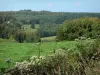 Gebergte van de Bourbonnais - Bloemenweiden en bossen