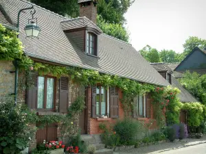 Gerberoy - Bakstenen huis met bloemen, planten, blauwe regen, rozen en lavendel