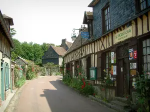 Gerberoy - Rue fleurie bordée de maisons à colombages