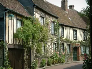 Gerberoy - Maisons à colombages avec des plantes grimpantes et des fleurs