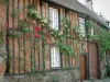 Gerberoy - Half-timbered house and bricks with climbing rosebushes (red and yellow roses)