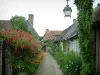 Gerberoy - Ruelle pavée bordée de maisons abondamment fleuries (fleurs, rosiers et plantes)
