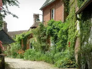 Gerberoy - Ruelle pavée, maisons en brique, plantes, fleurs, rosiers et glycines