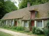 Gerberoy - Demeure en pierre avec des plantes et des fleurs au bord d'un chemin