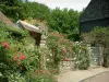 Gerberoy - Rosiers (roses), fleurs et clôture d'un jardin