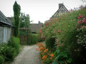 Gerberoy - Ruelle pavée fleurie (rosiers, fleurs, plantes) et maisons du village