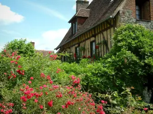 Gerberoy - Rosiers (roses), glycines et maison à colombages