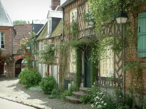 Gerberoy - Maisons à colombages avec des rosiers grimpants (roses), des fleurs et des arbustes