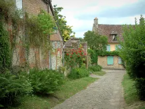 Gerberoy - Casas de pueblo, calle adoquinada, rosas y arbustos