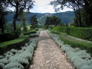 Giardini di Marqueyssac - Passeggiata di rosmarino