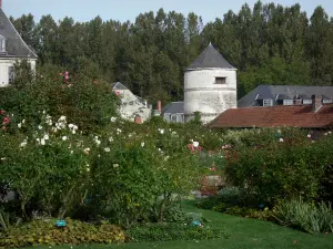 Giardini di Valloires - Loft dell'abbazia cistercense di Valloires giardino di rose (rose) e gli alberi