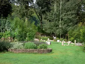 Giardini di Valloires - Piante, alberi e prato