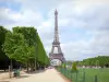 Giardino Jardin du Champ-de-Mars - Sentieri alberati e prati di Champ-de-Mars vista sulla Torre Eiffel