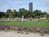 Giardino Jardin du Luxembourg - Vista dal giardino di fiori Torre Montparnasse