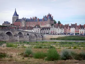 Gien - Chateau de Beaujeu Anne ospita il Museo Internazionale della Caccia, campanile della chiesa di St. Joan of Arc, case della città, ponte sulla Loira e la vegetazione