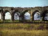 Gier Roman aqueduct - Arcs (remains) of the aqueduct in Chaponost