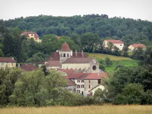 Gigny - Village with its abbey church and its houses, trees and field in foreground