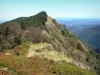 Gipfel Portel - Gipfel Portel, bedeckt mit Bäumen und Bodenbewuchs, mit Blick auf die umliegende Berglandschaft; im Regionalen Naturpark der Ariège Pyrenäen