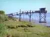 Gironde estuary - Huts and their fishing nets along the estuary 