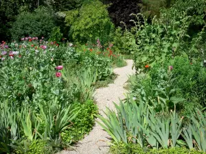 Giverny - Garten von Claude Monet: Clos Normand: kleine Allee gesäumt von Blumenbeeten