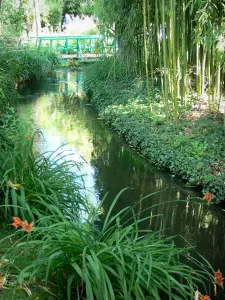 Giverny - Garten von Monet: Wassergarten: Wasserlauf (Ru), orangefarbene Lilien, Bambousstöcke, und kleine grüne Brücke im Hintergrund