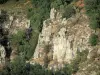 Gole del Chassezac - Pareti di roccia e vegetazione delle gole di granito, nel Parco Nazionale delle Cévennes