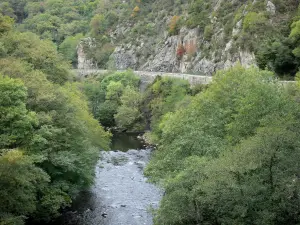 Gole di Chouvigny - Gole Sioule: alberato del fiume Sioule