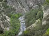 Gole del Guil - Torrent Guil fiancheggiata da alberi e pareti rocciose, nel Parco Regionale Naturale del Queyras