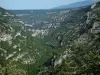 Gole della Nesque - Canyon selvaggio con pareti di roccia, alberi e foreste
