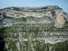 Gole della Nesque - Ripida scogliera (parete di roccia) e alberi selvatici nel canyon