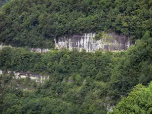 Gole di Nouailles - Pareti di roccia e alberi
