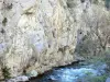 Gole della Pierre-Lys - Aude fiume pareti di roccia e alberi lungo l'acqua