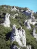 Gole di Saint-Georges - Pareti rocciose immerse nel verde