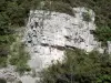 Gole della Sainte-Beaume - Parete di roccia e vegetazione